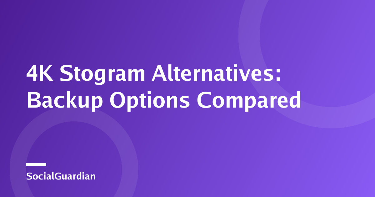 Comparison of 4K Stogram alternatives for Instagram backup workflows